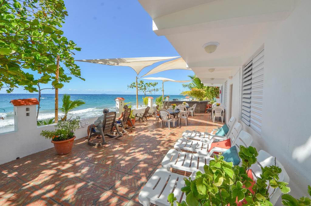 Coconut Palms Inn Rincon Dış mekan fotoğraf