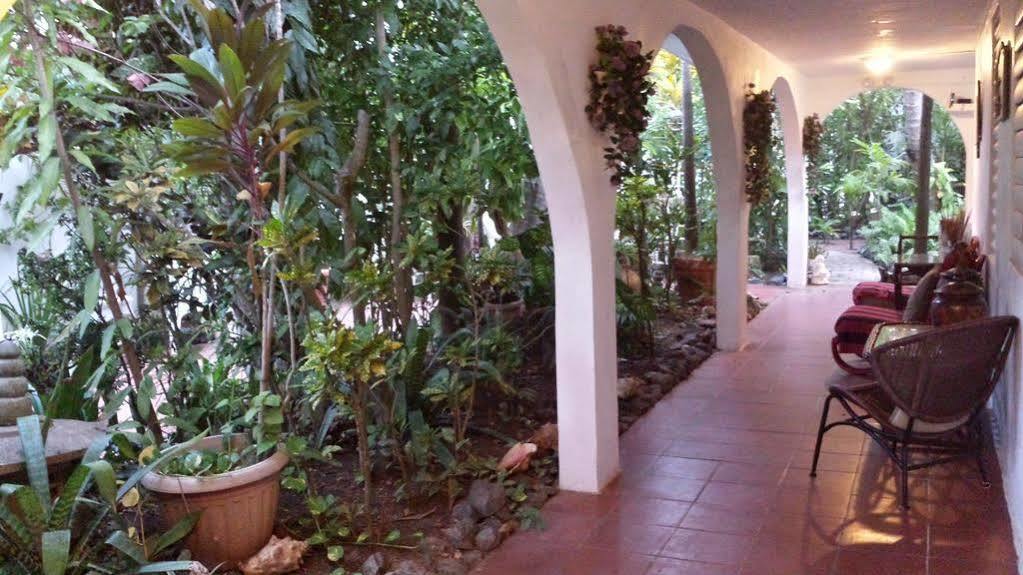 Coconut Palms Inn Rincon Dış mekan fotoğraf