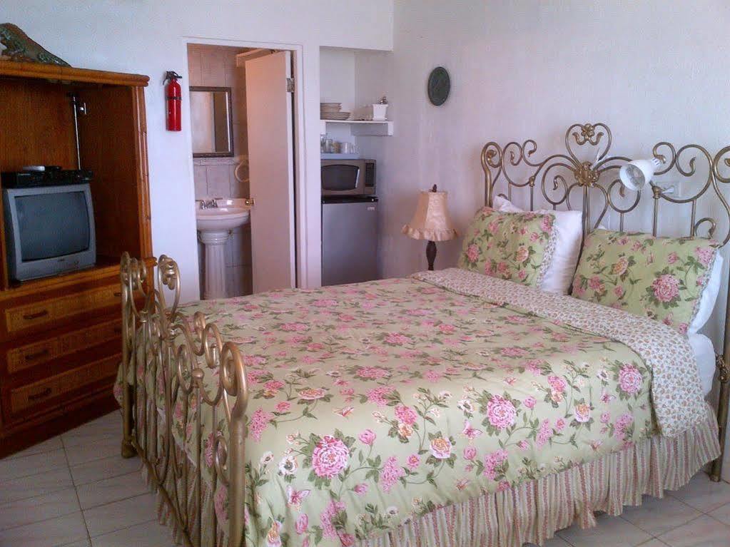Coconut Palms Inn Rincon Dış mekan fotoğraf