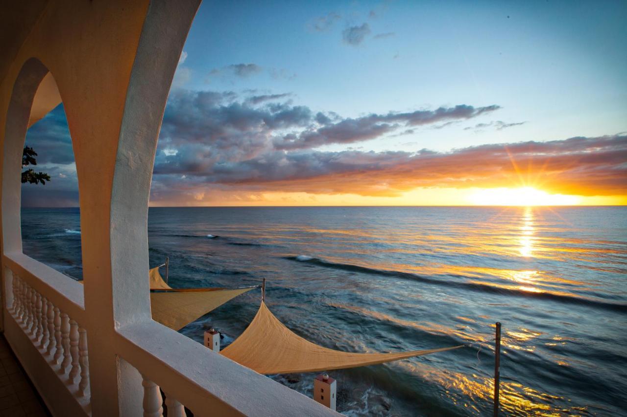 Coconut Palms Inn Rincon Dış mekan fotoğraf