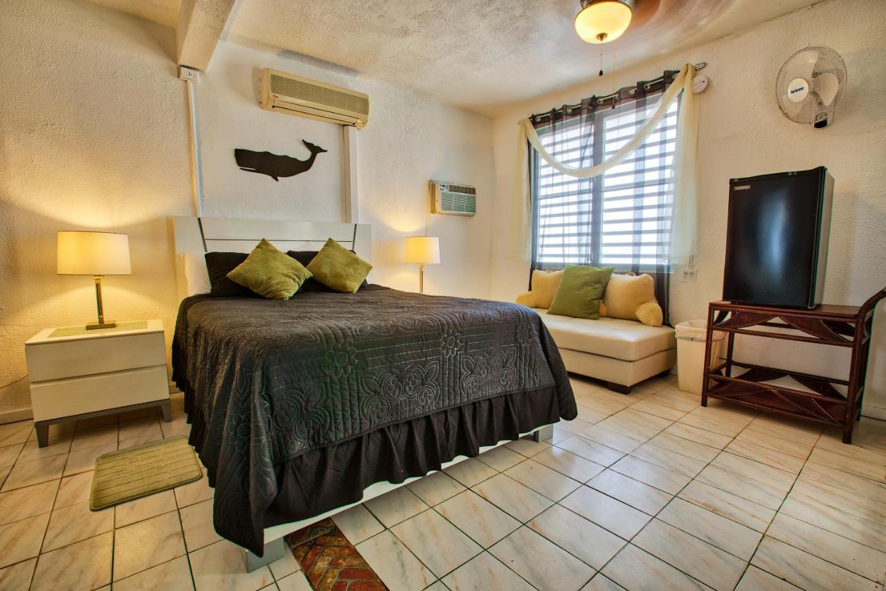 Coconut Palms Inn Rincon Dış mekan fotoğraf